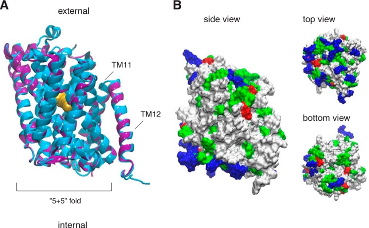 FIGURE 2.