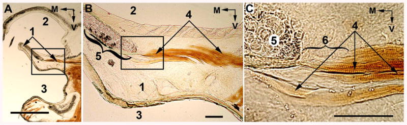 Figure 13