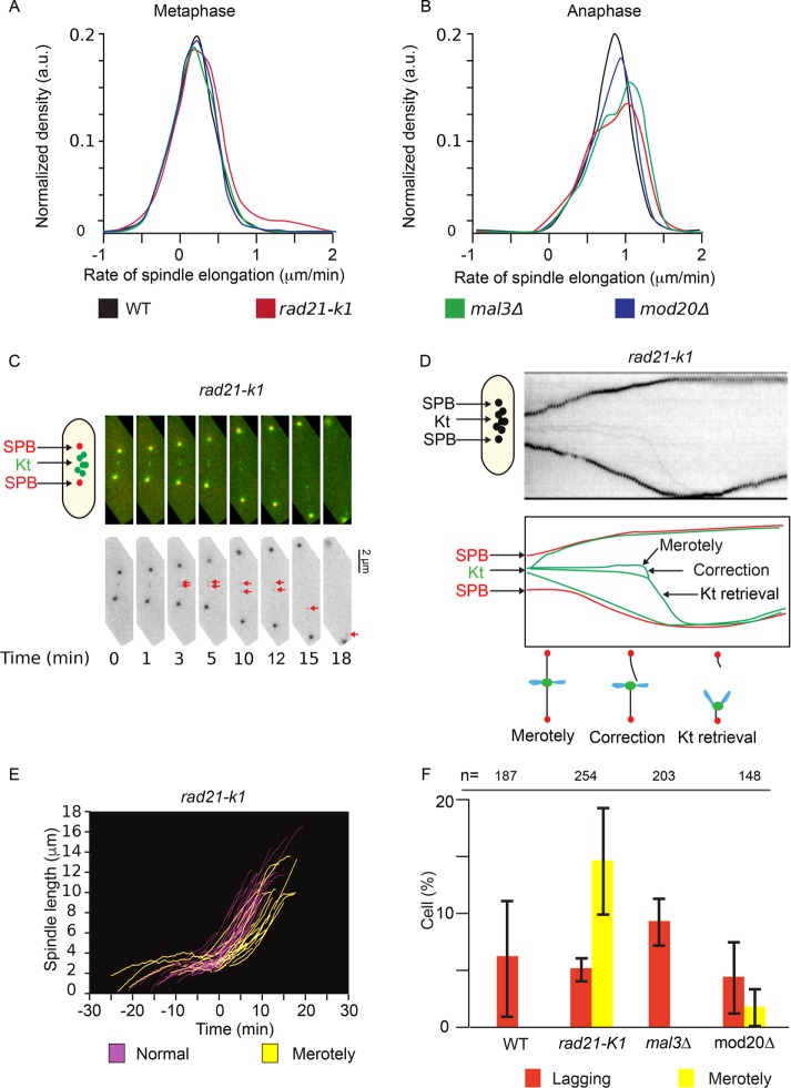 FIGURE 6: