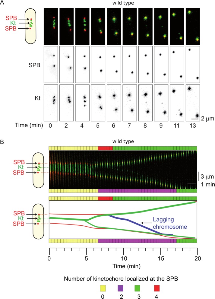 FIGURE 7: