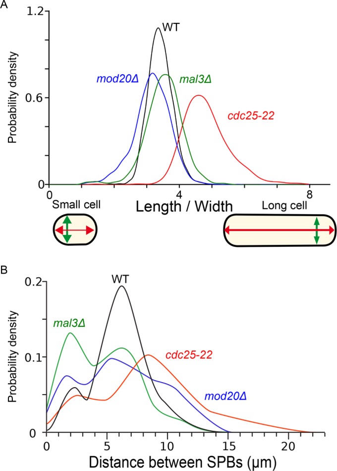 FIGURE 3: