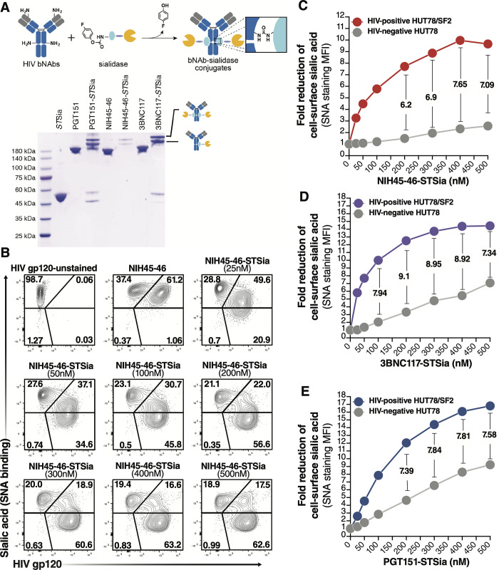 Fig 6