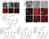 Extended Data Fig. 4