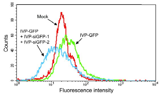 FIG 3