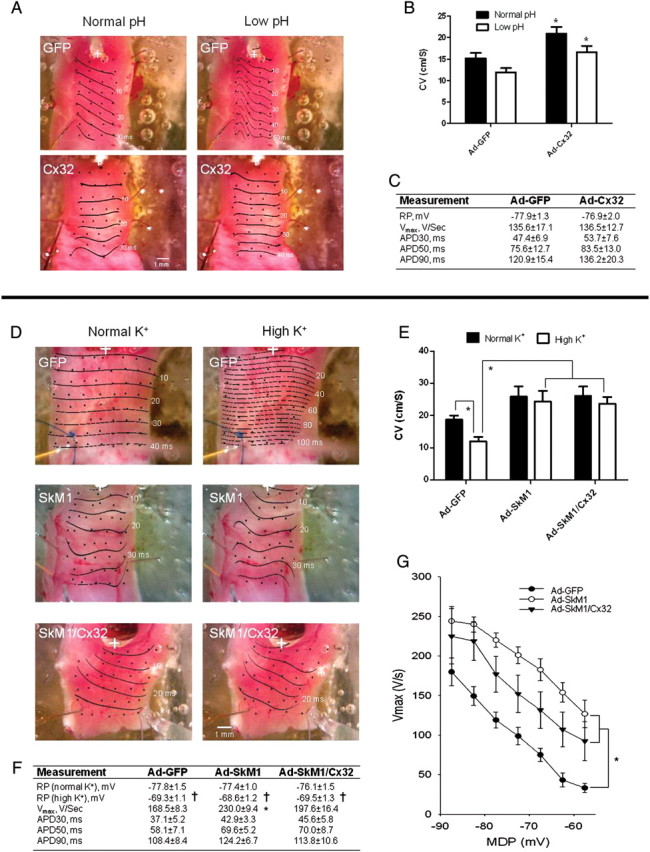 Figure 6