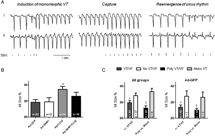 Figure 5