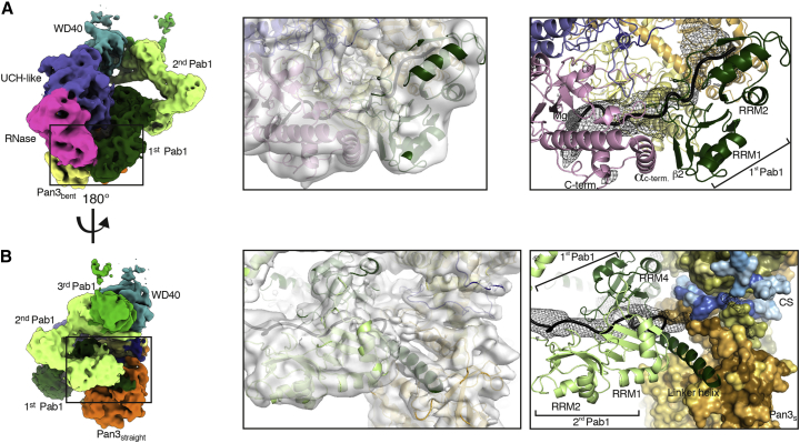 Figure 4