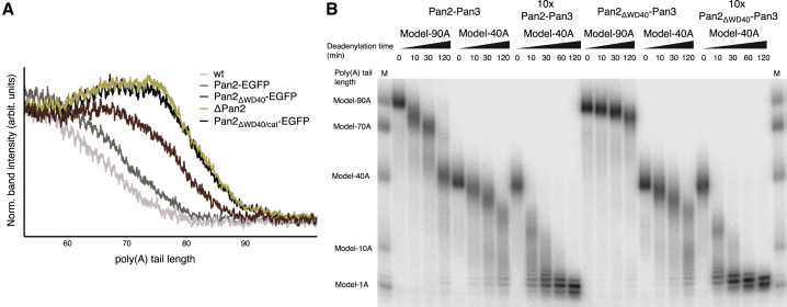 Figure 6