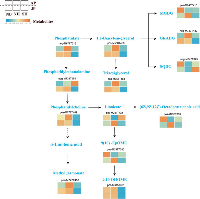 FIGURE 6