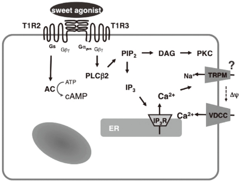 Fig. 3