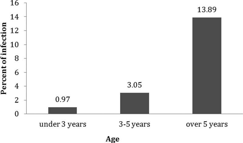 FIG. 2.