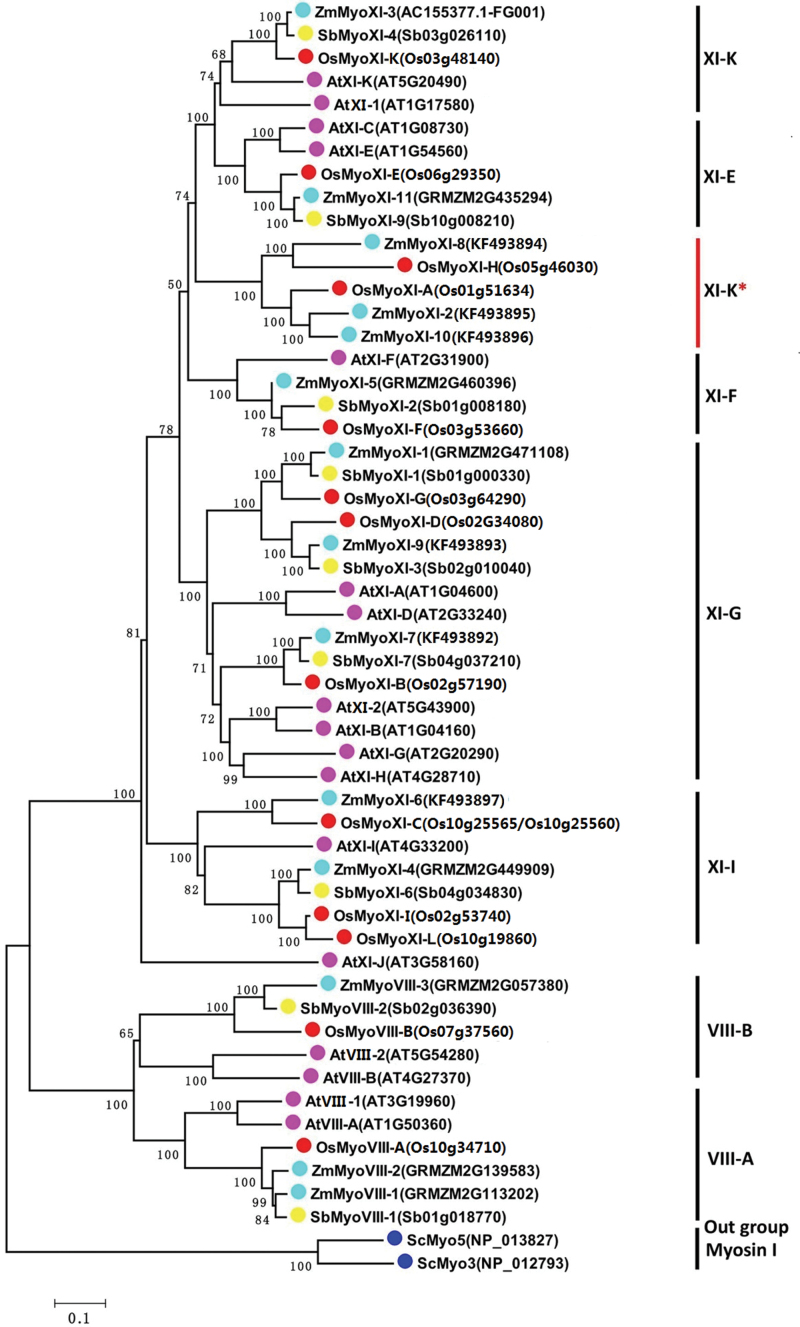 Fig. 3.