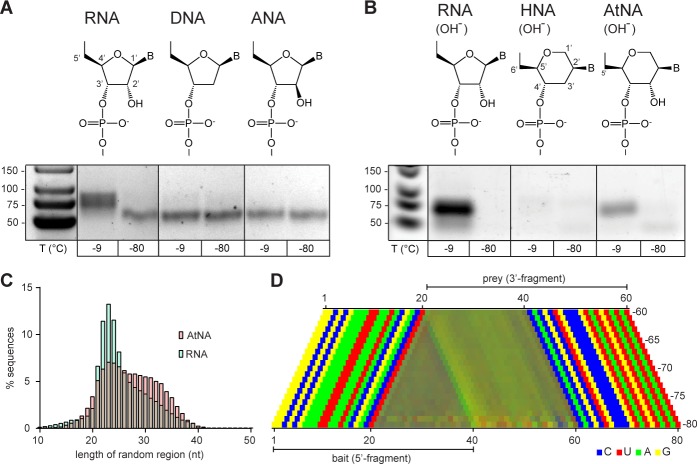 Figure 6.