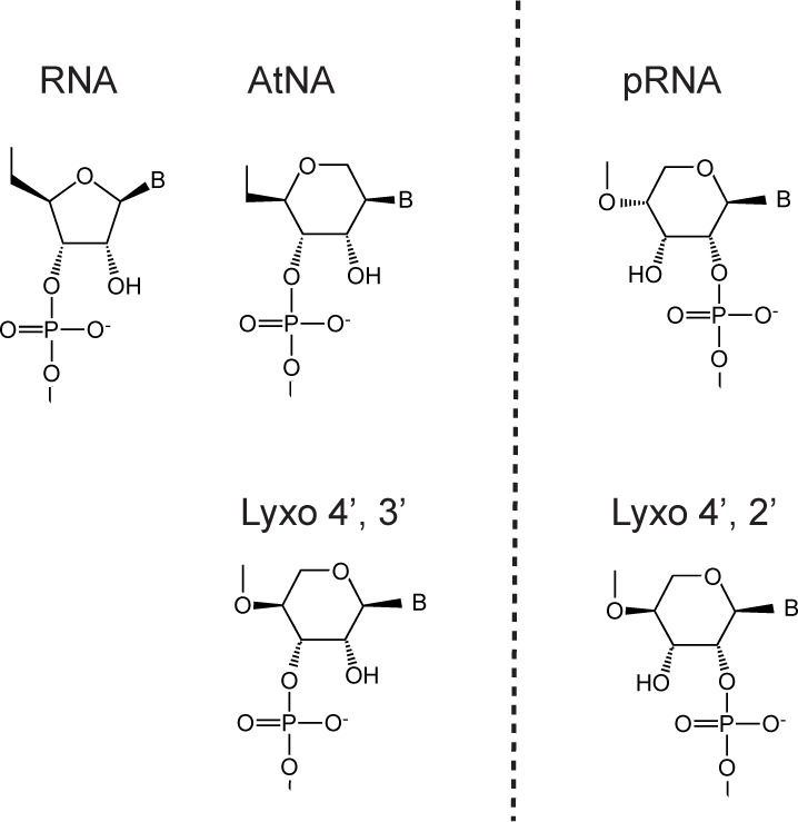 Figure 6—figure supplement 5.