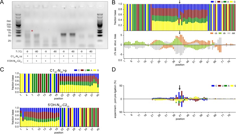 Figure 2—figure supplement 1.