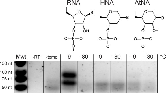 Figure 6—figure supplement 4.