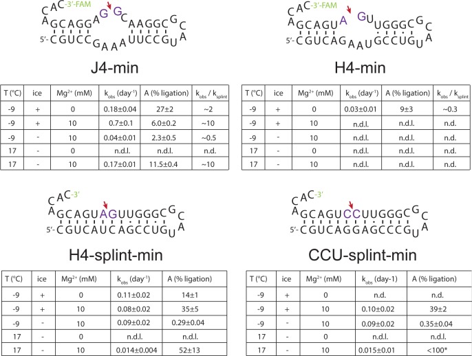 Figure 2—figure supplement 6.