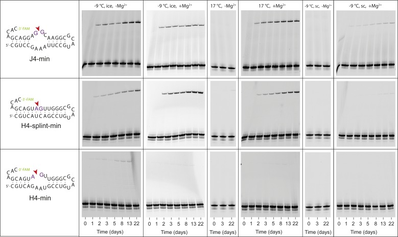 Figure 2—figure supplement 4.