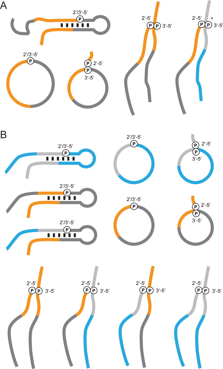 Figure 4—figure supplement 4.