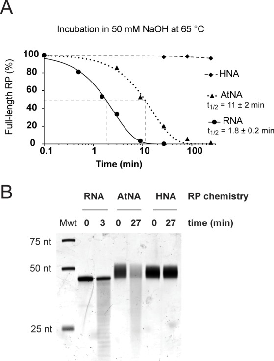 Figure 6—figure supplement 2.