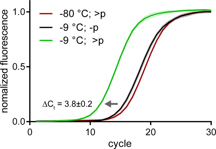 Figure 4—figure supplement 2.