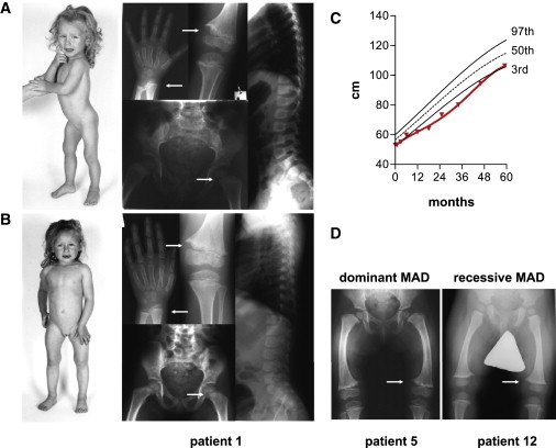 Figure 1