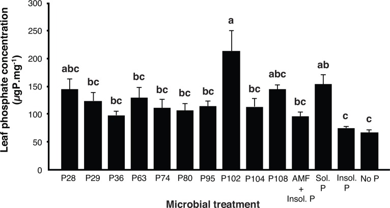 Fig 4