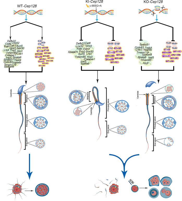 Fig. 9