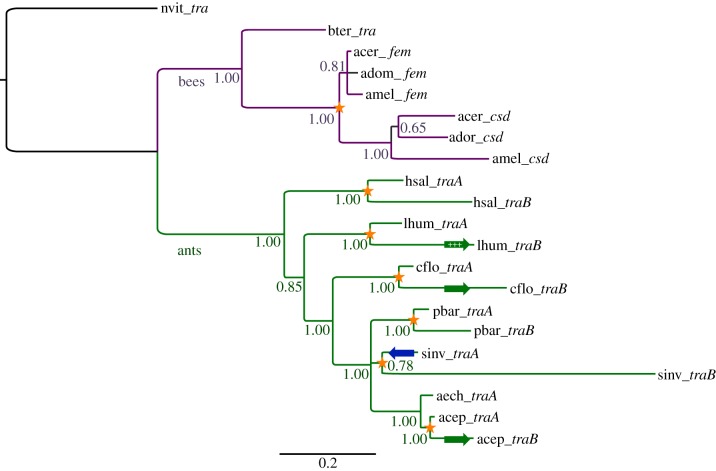 Figure 1.