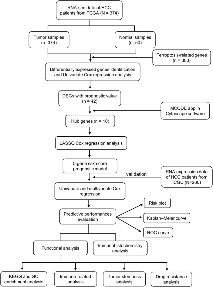 FIGURE 2