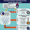 Graphical Abstract
