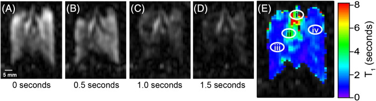 Fig. 3