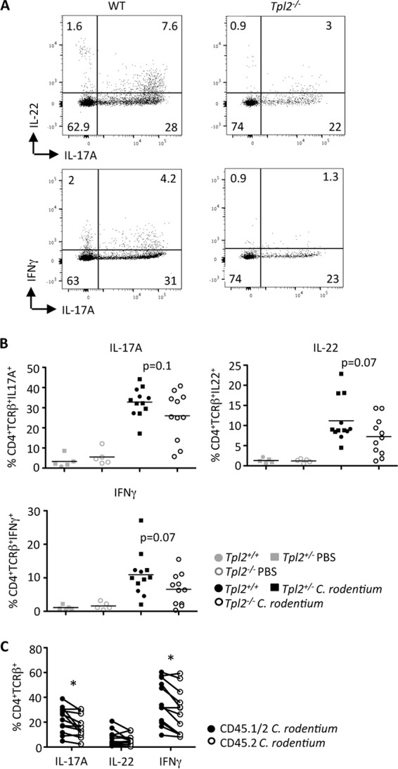 FIG 4