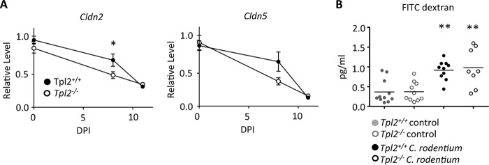 FIG 3