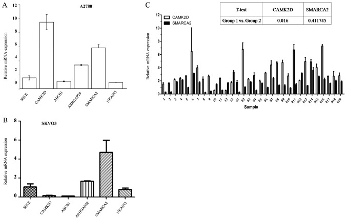 Figure 2.