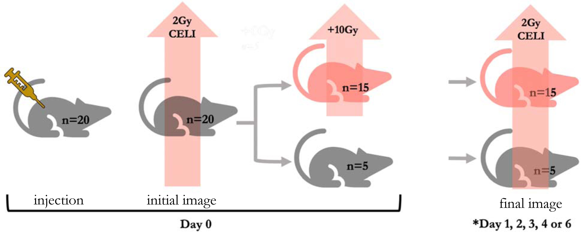 Figure 2 -