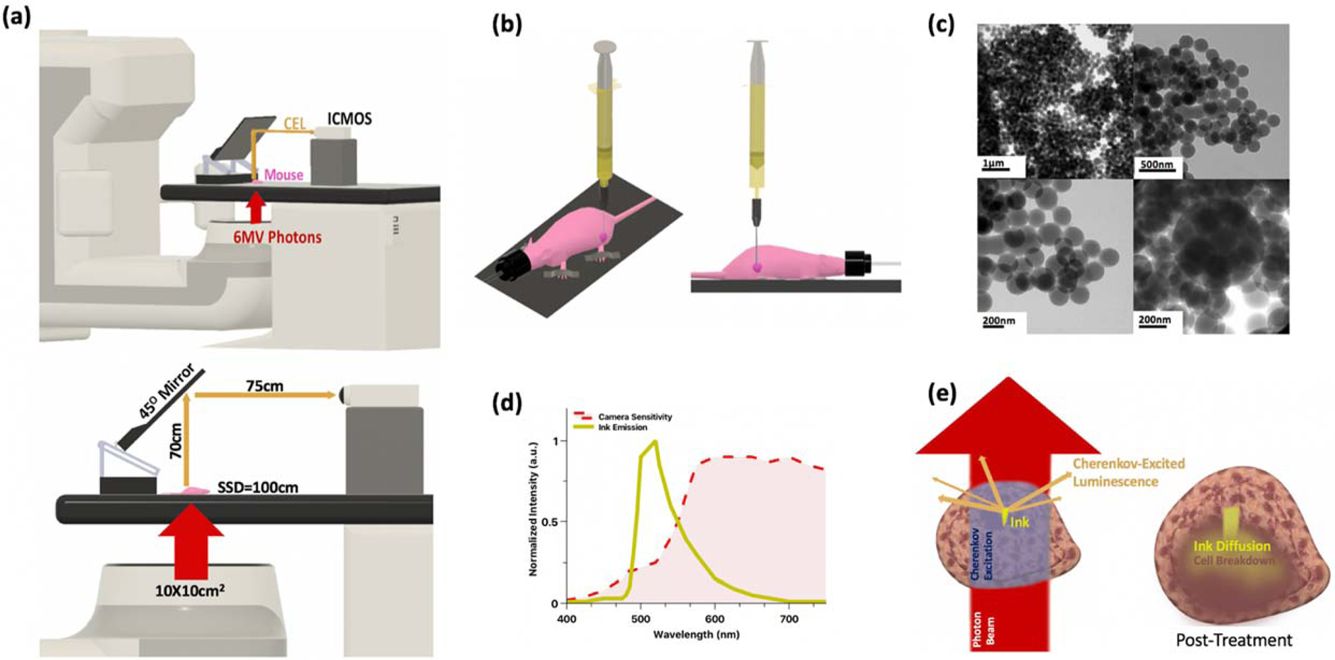 Figure 1 -