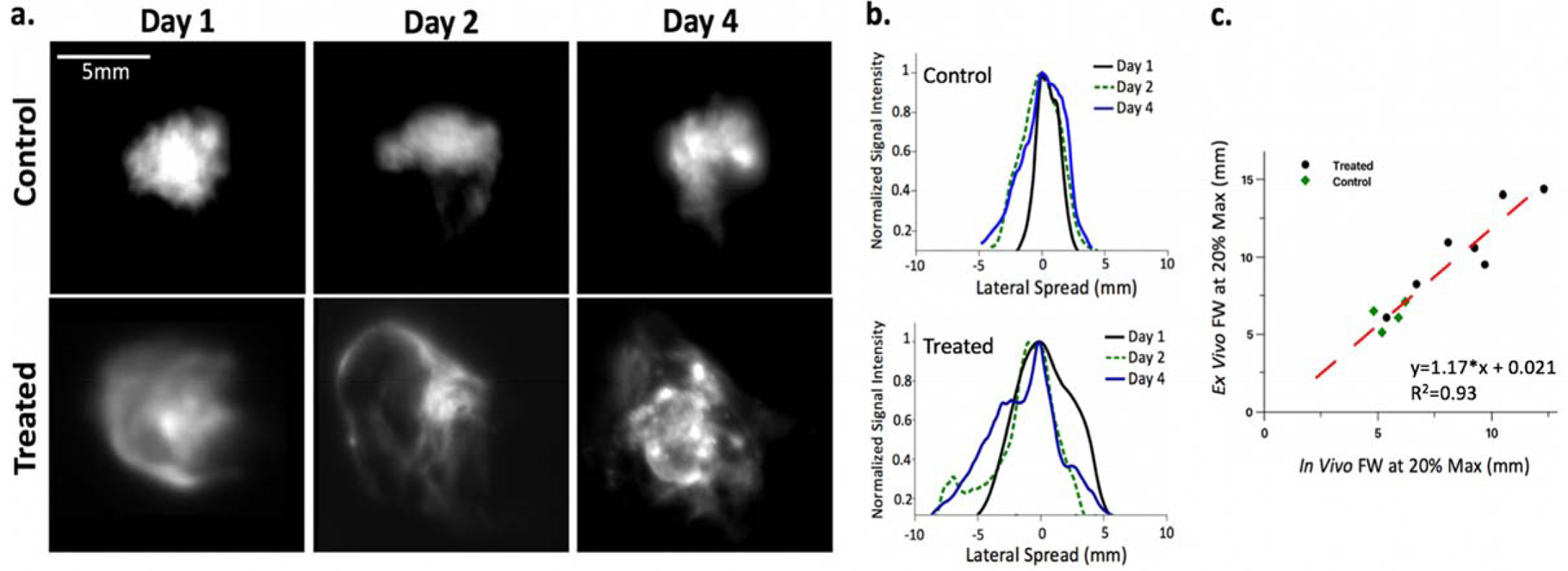 Figure 6 -