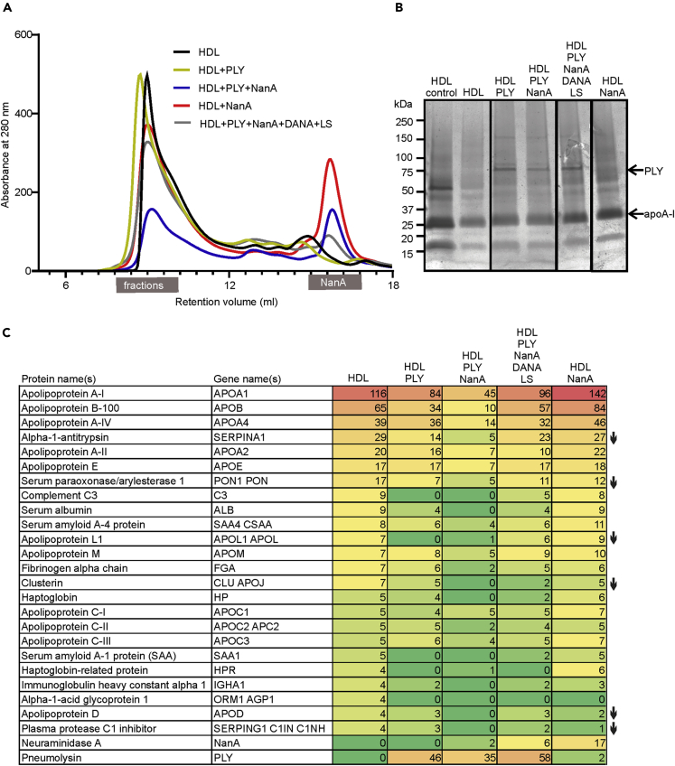 Figure 3