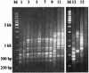 FIG. 3.