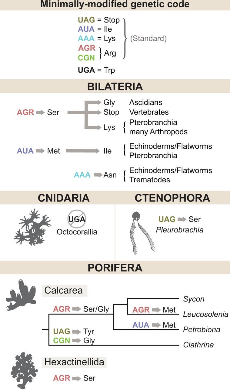 Fig. 3.—