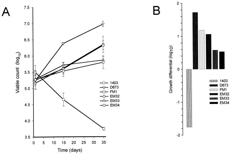 FIG. 6