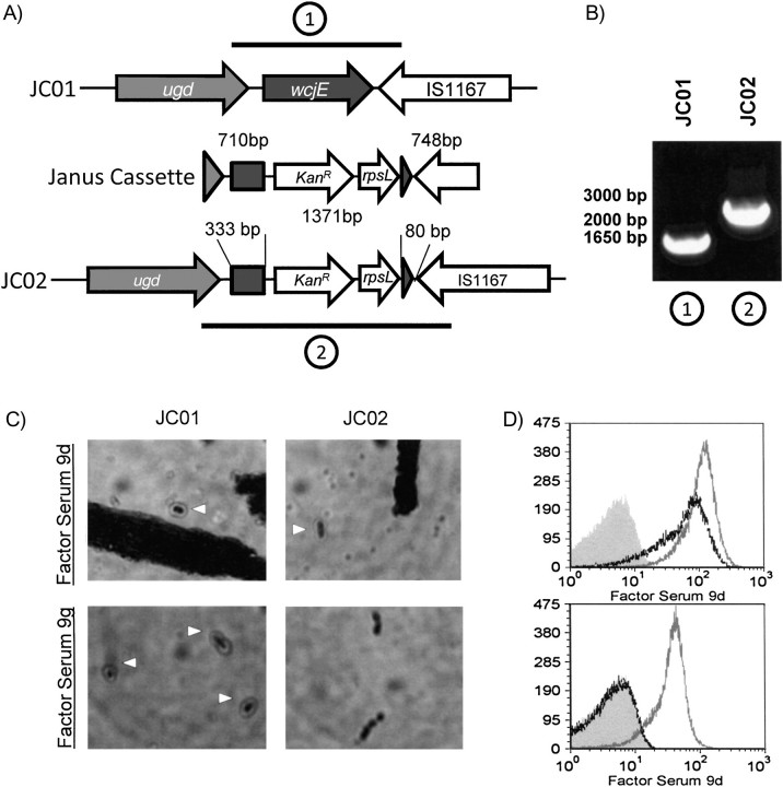 Figure 2.