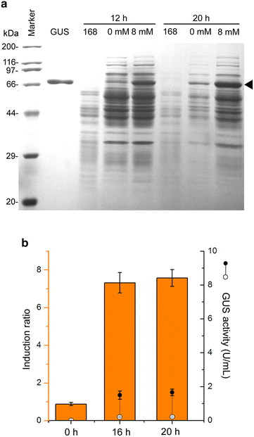 Fig. 6