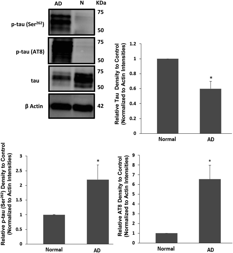 Fig. 7