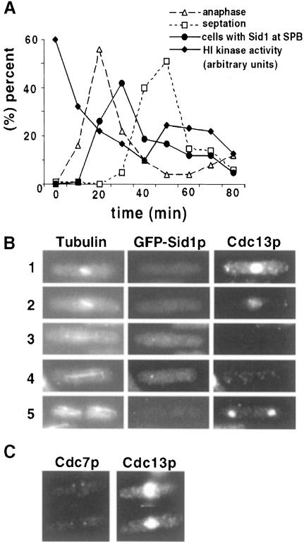 graphic file with name cdd180f8.jpg