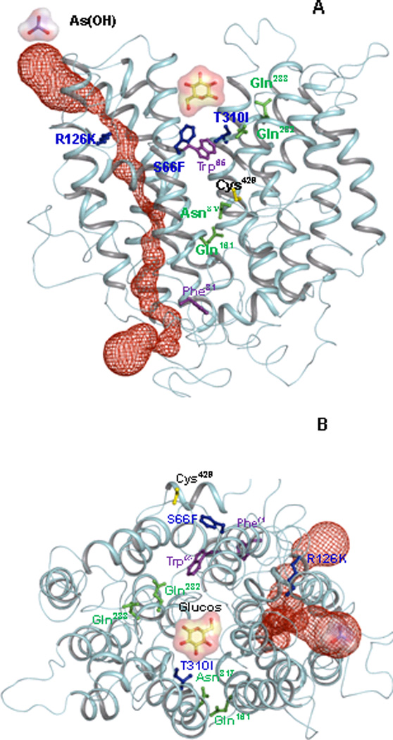 Fig. 1