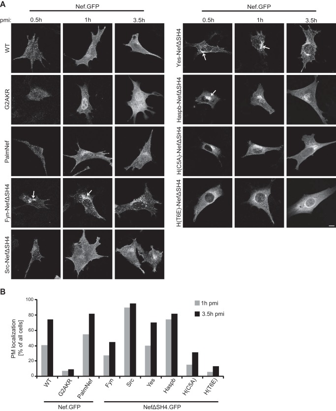 FIGURE 4.