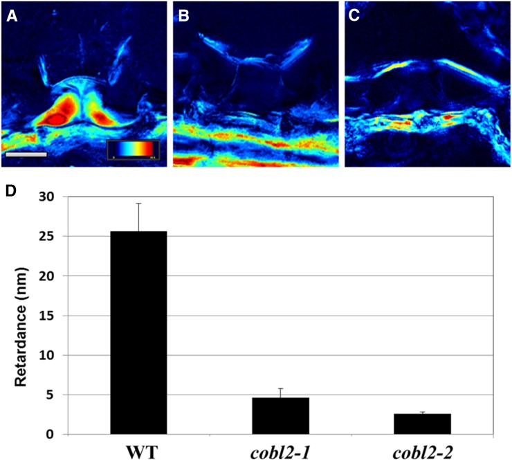 Figure 10.