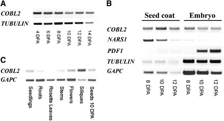 Figure 3.